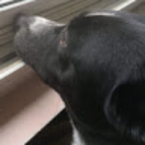 Meet your Posher, Maddy